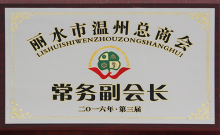 2016麗水溫州總商會(huì)常務(wù)副會(huì)長(zhǎng)